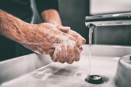 mullein, hand washing