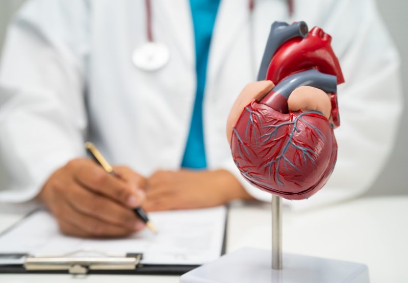 Cardiovascular Health: The Nitric Oxide Connection
